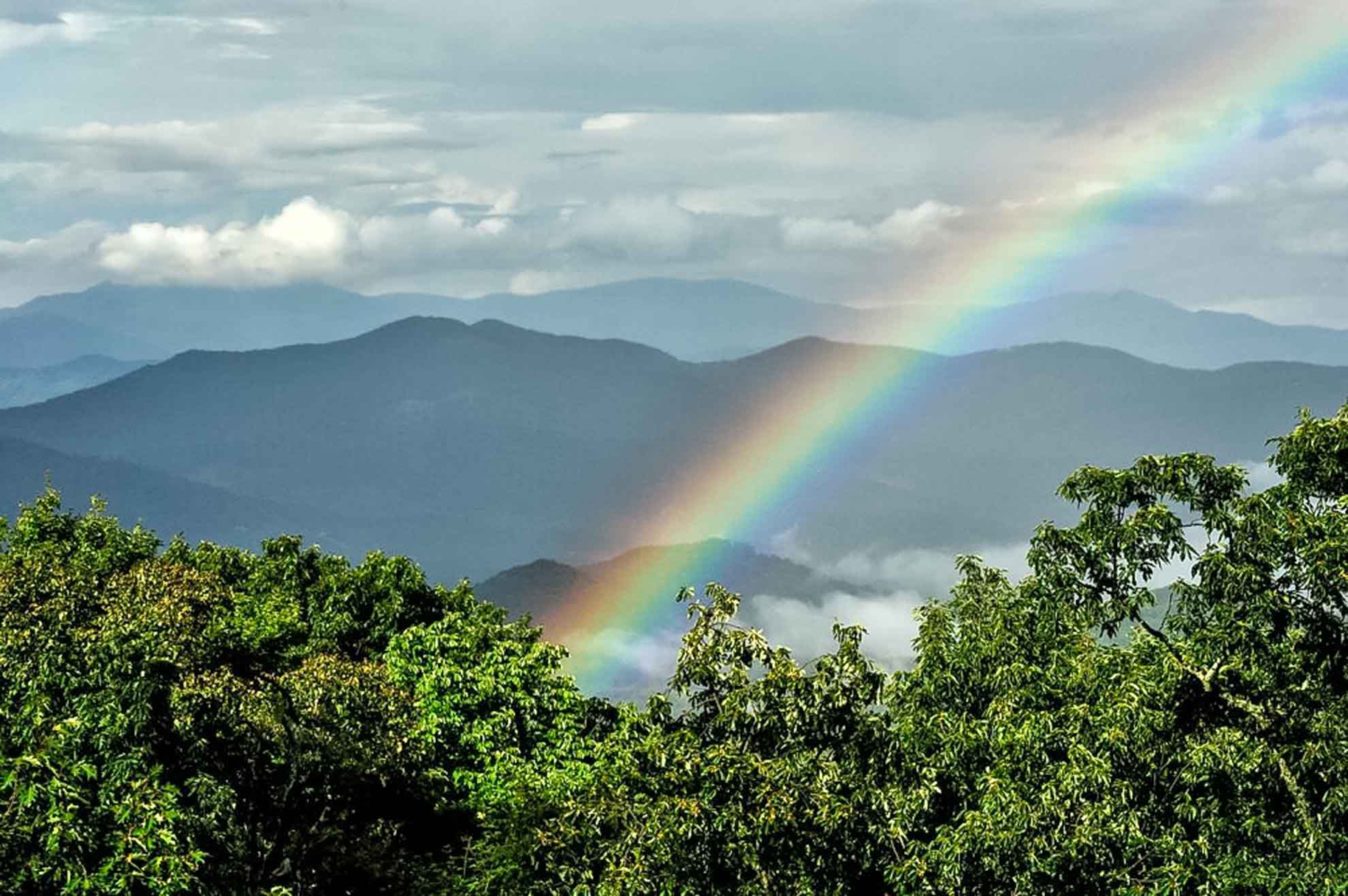 Mountain Air Burnsville, NC Everything a Mountain Town Should Be